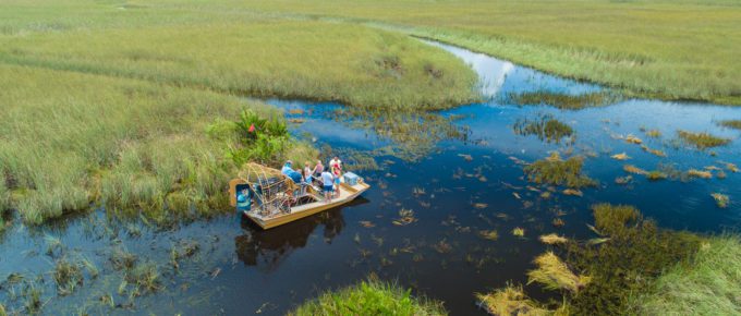 Airboat Tours