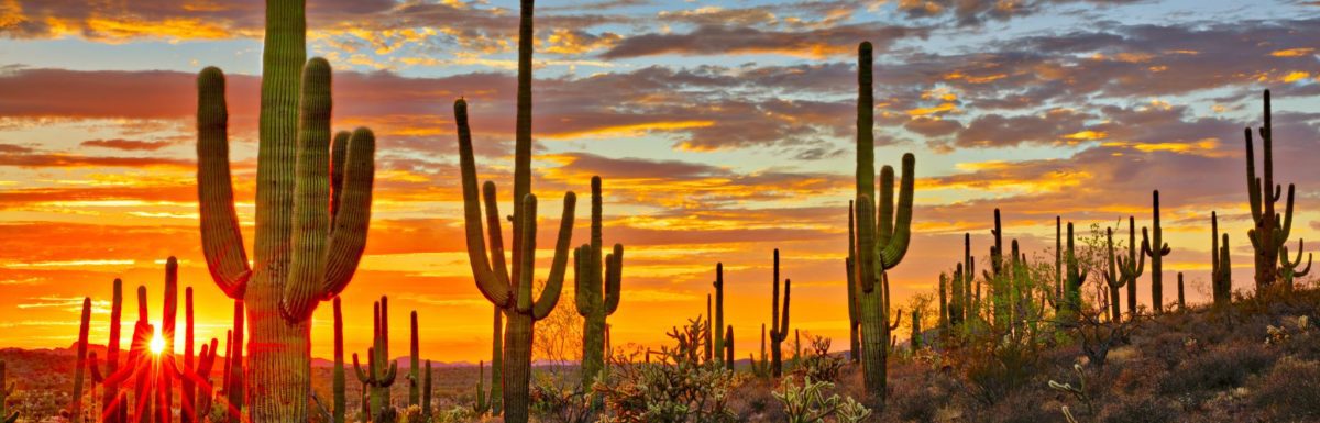 places to visit in arizona with family