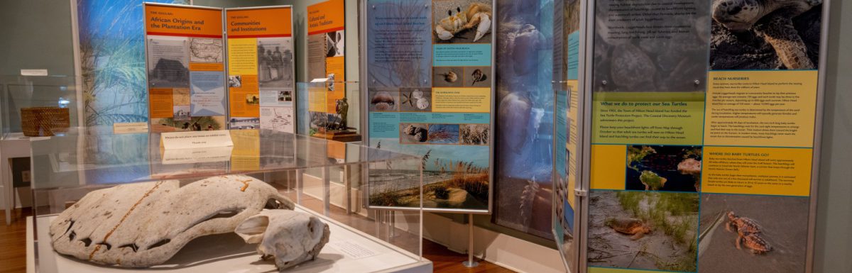 An educational museum display at the Coastal Discovery Museum at Hilton Head Island, South Carolina.