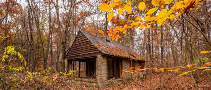 A beautiful cabin in Ohio in early November covered in fallen leaves.