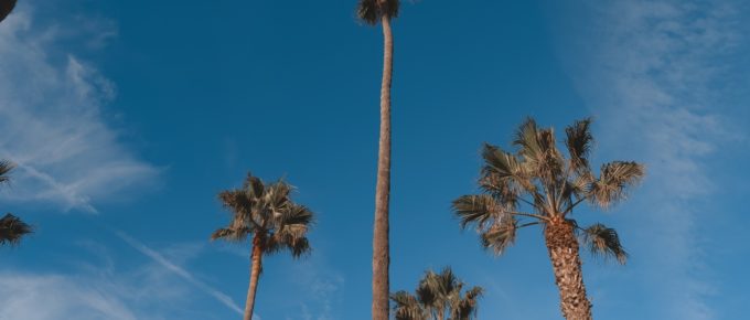Near Venice Beach, Los Angeles, CA, USA.