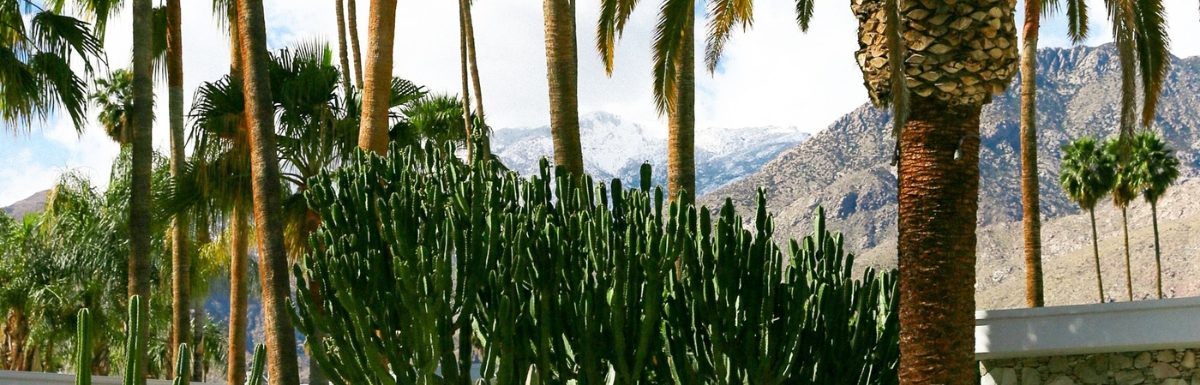 Landscape in Palm Springs, California, USA.