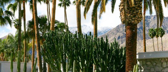 Landscape in Palm Springs, California, USA.
