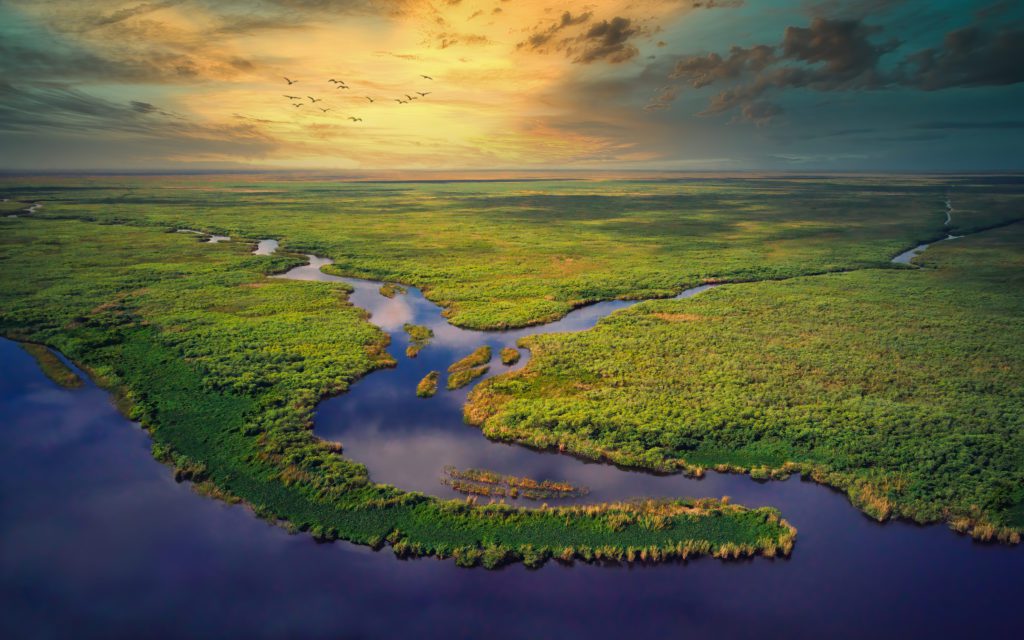 a birds-eye-view of mangroves in the Everglades, Florida