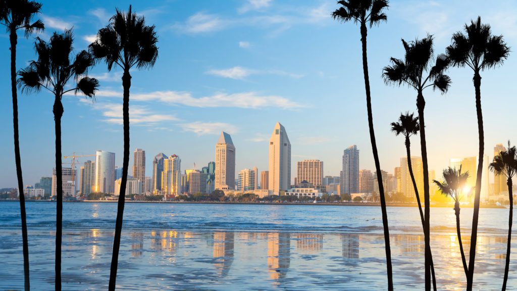 the San Diego skyline from a distance, framed by palm trees