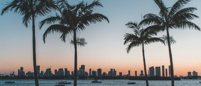 Silhouette of palm trees near a body of water during sunset in Miami Beach, Florida, USA.