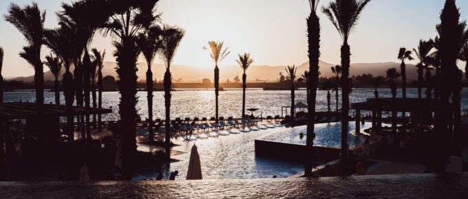 A pool surrounded by palm trees in front of a body of water.