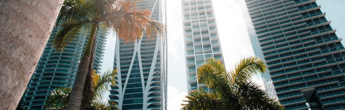 Low-angle photography of high-rise buildings with coconut trees around Miami, Florida, USA.