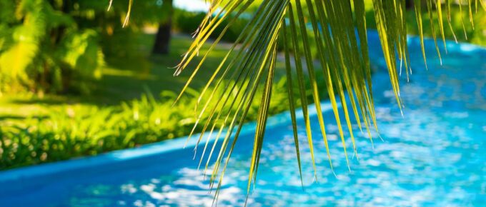 Palm tree branch over defocused lazy river pool.